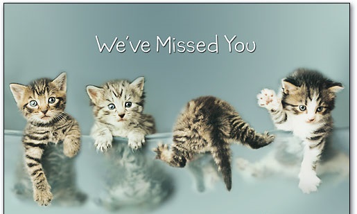 GSL Technology, Inc.